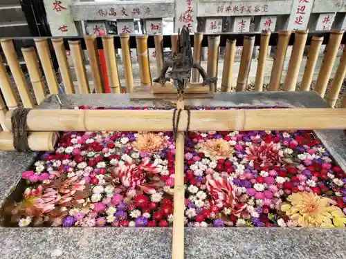 高円寺氷川神社の手水