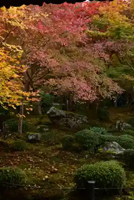 圓光寺(京都府)