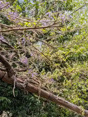 藤神稲荷神社(東京都)