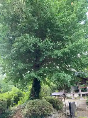延命寺(神奈川県)