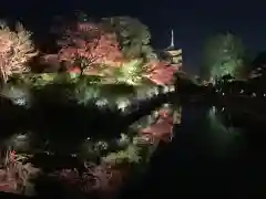 東寺（教王護国寺）の景色