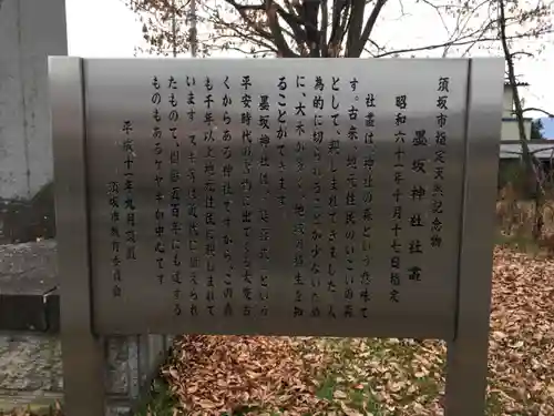 墨坂神社の歴史