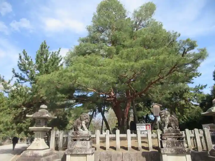 北野天満宮(京都府)