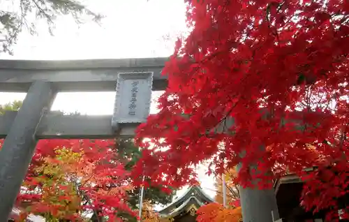 彌彦神社　(伊夜日子神社)の鳥居