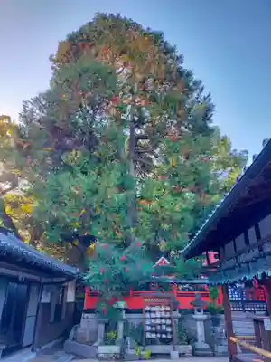 奈良豆比古神社(奈良県)