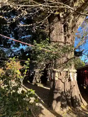 秩父神社(埼玉県)