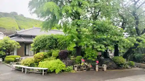 養源寺(東京都)