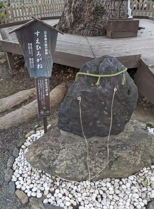平野神社(京都府)