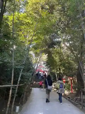 來宮神社(静岡県)