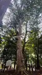 佐々伎神社(兵庫県)