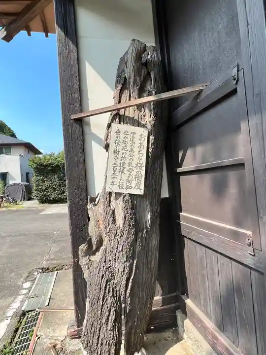 竜島院(宮城県)