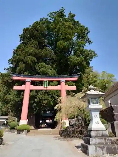 河口浅間神社の鳥居