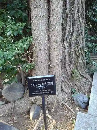 小平神明宮の庭園