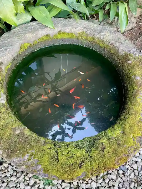 隅田川神社(東京都)