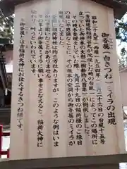 志和古稲荷神社の歴史