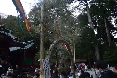 箱根神社(神奈川県)