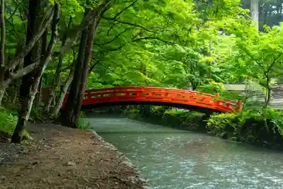 小國神社(静岡県)