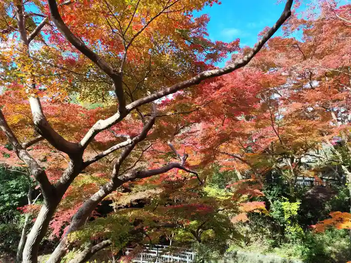 根来寺(和歌山県)
