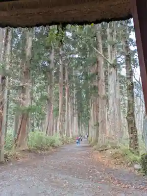 戸隠神社九頭龍社(長野県)