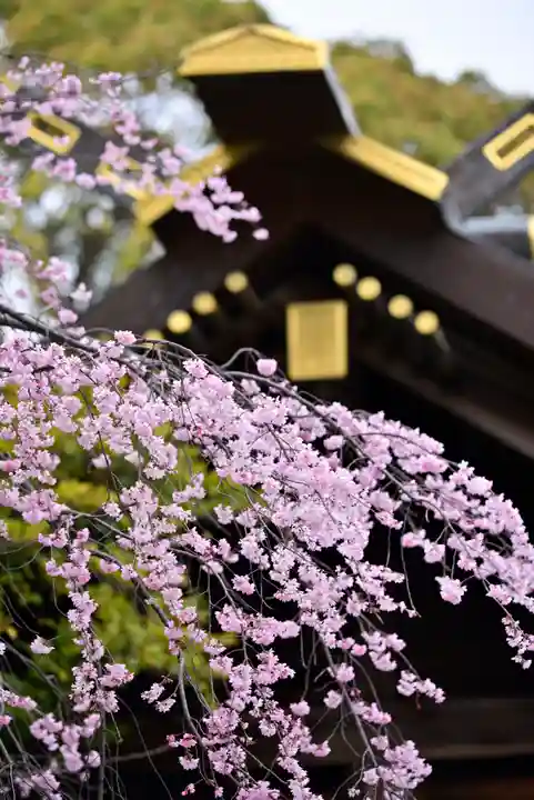 伊勢山皇大神宮の自然