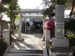 亀戸水神社の鳥居