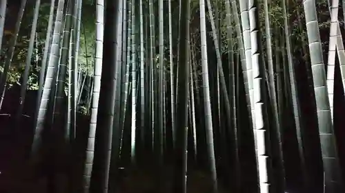 青蓮院門跡(京都府)