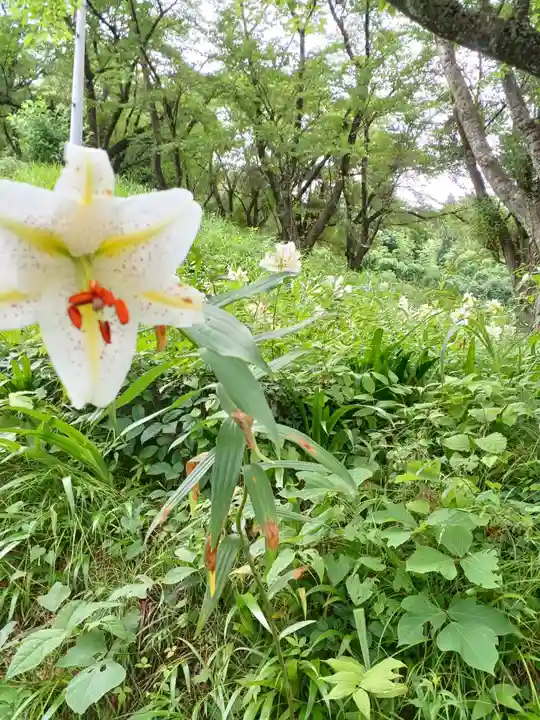 白狐山光星寺(山形県)