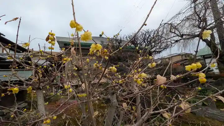 了峰禪寺(了峰寺)(京都府)