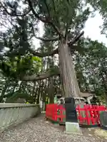 志和古稲荷神社(岩手県)