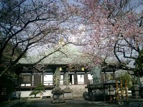長勝寺の本殿・本堂