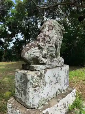天御中主神社の狛犬