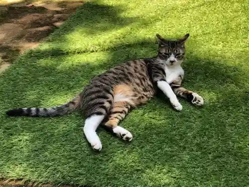 王子神社の動物