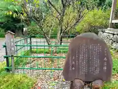 清瀧寺の自然