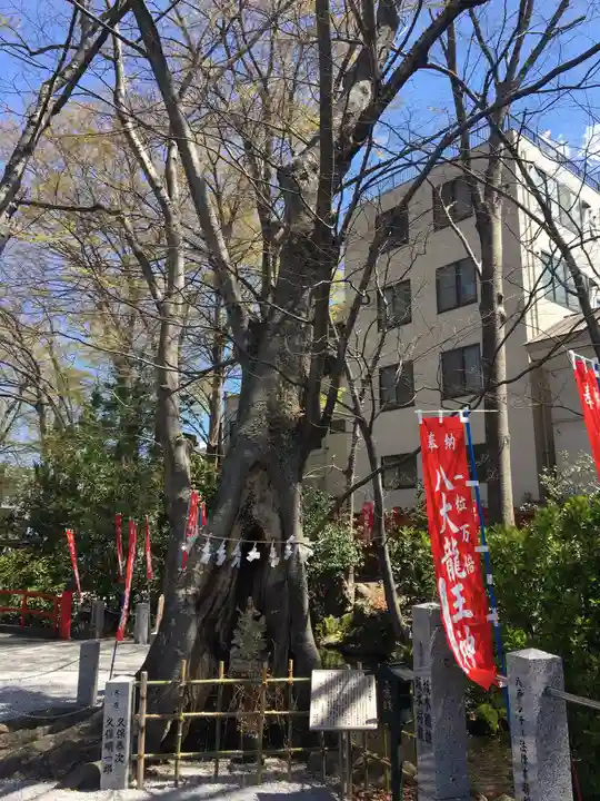 秩父今宮神社のその他建物