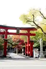 彌彦神社　(伊夜日子神社)の鳥居