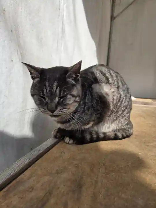 梅宮大社(京都府)