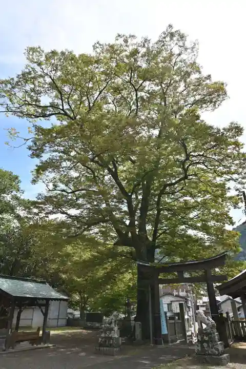 医家神社(徳島県)