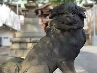 諏訪神社の狛犬