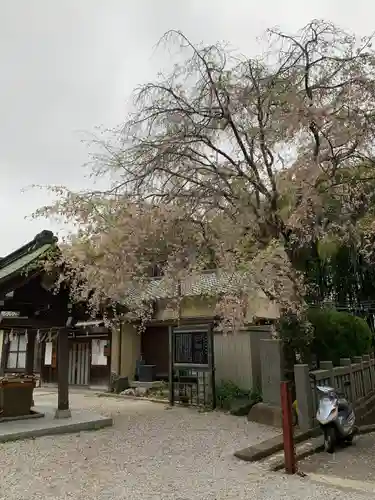 諏訪神社のその他建物