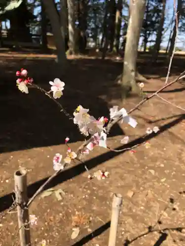 東蕗田天満社の自然