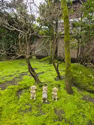 妙立寺(石川県)