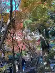 安楽寺(京都府)