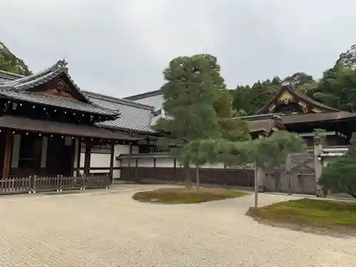 御寺 泉涌寺の庭園