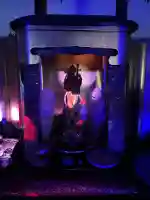 四季桜の寺 妙乗院(愛知県)