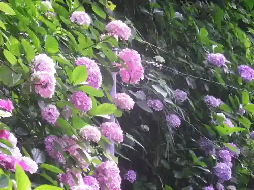 御霊神社の自然