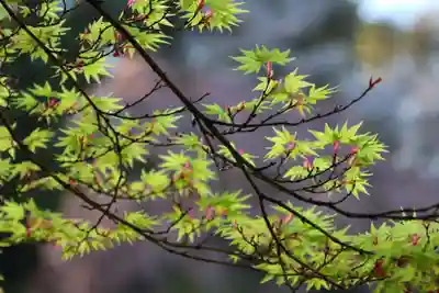 真照寺(福島県)