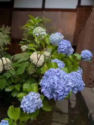 西照寺(東京都)
