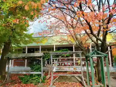 福住厳島神社の絵馬