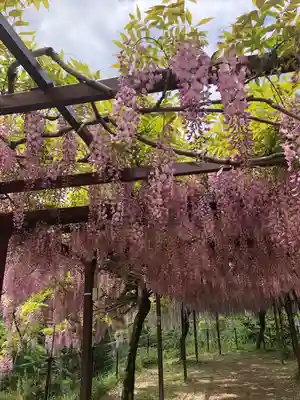 和気神社(鹿児島県)