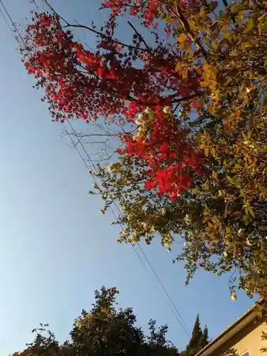 石内のお大師さん　金剛院(広島県)